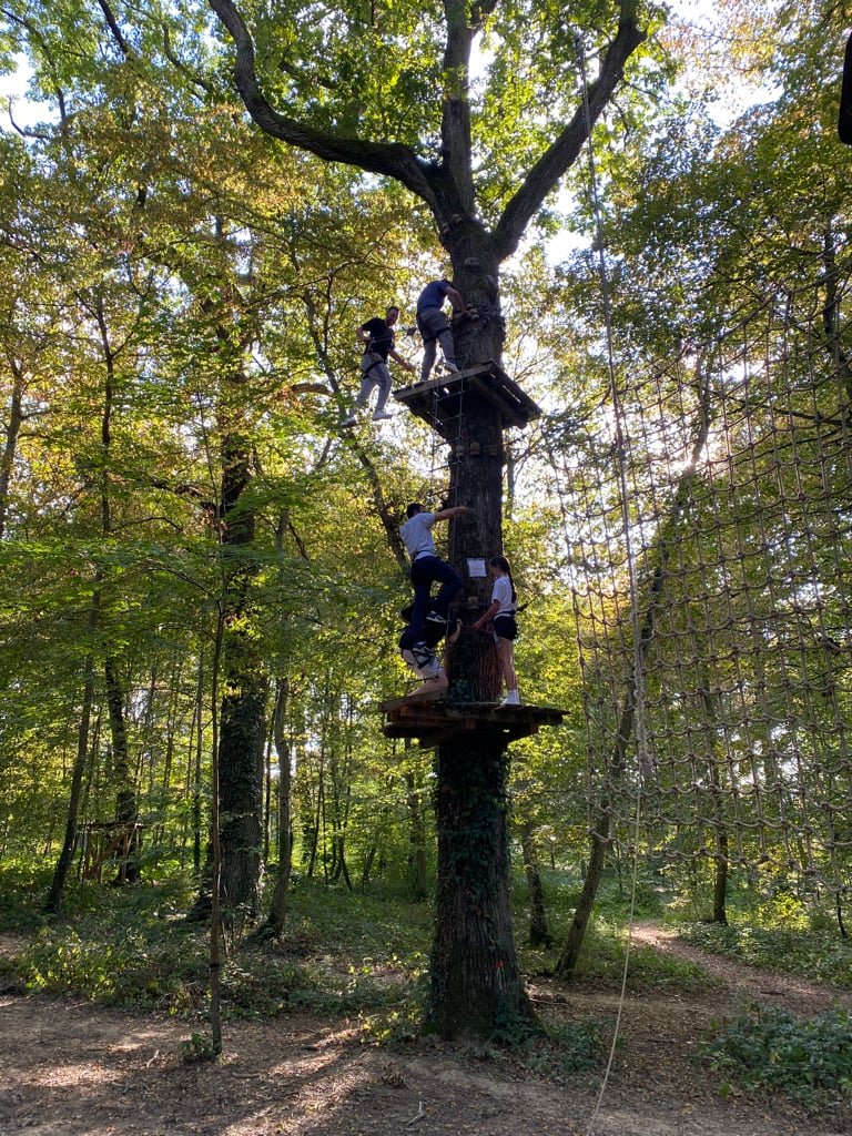 Teambuilding-Aktivität